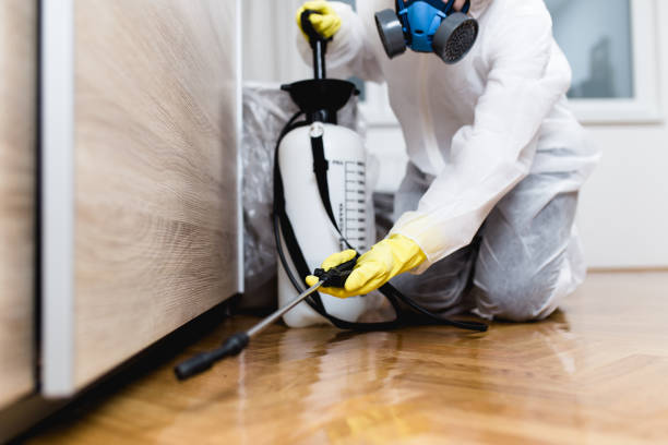 Best Pest Control Near Me  in Woodstock, AL