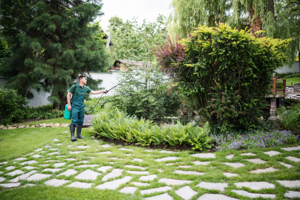 Best Local Pest Control Services  in Woodstock, AL