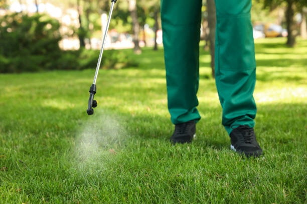 Best Exterminator Services  in Woodstock, AL