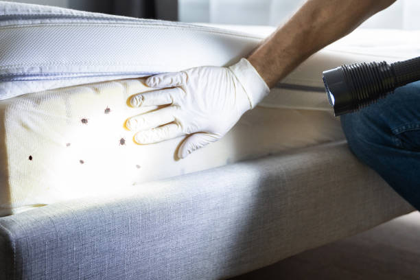 Professional Pest Control in Woodstock, AL