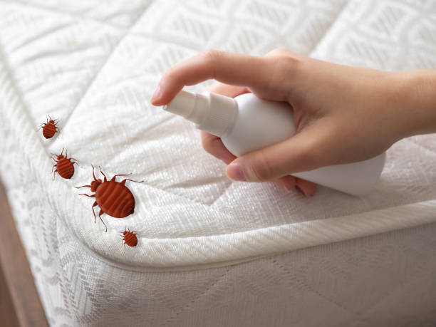 Best Pest Prevention Services  in Woodstock, AL