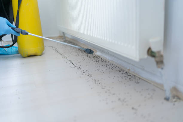 Best Best Pest Control Companies  in Woodstock, AL