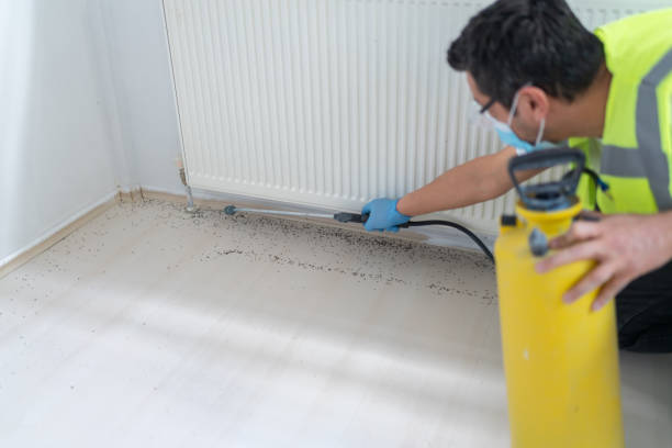 Pest Prevention Services in Woodstock, AL
